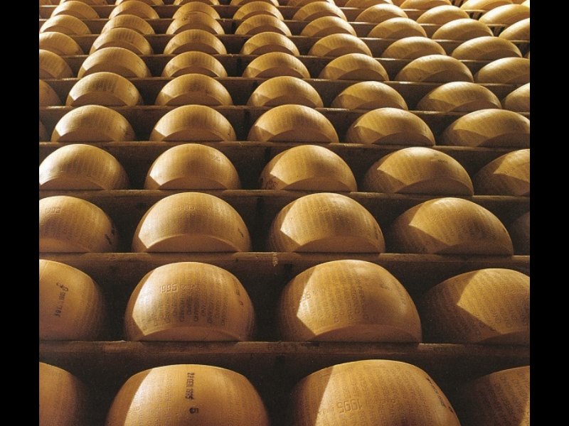 il-consorzio-parmigiano-reggiano-in-prima-linea-per-il-benessere-animale