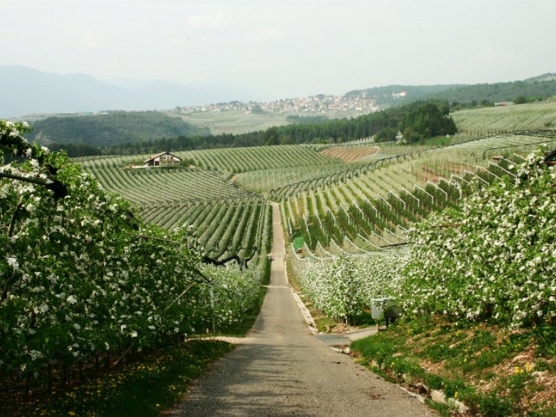 in-melchiori-la-famiglia-conta-sempre