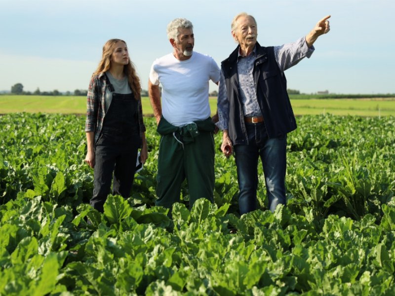 italia-zuccheri-lo-zucchero-100-percent-italiano-da-agricoltura-sostenibile