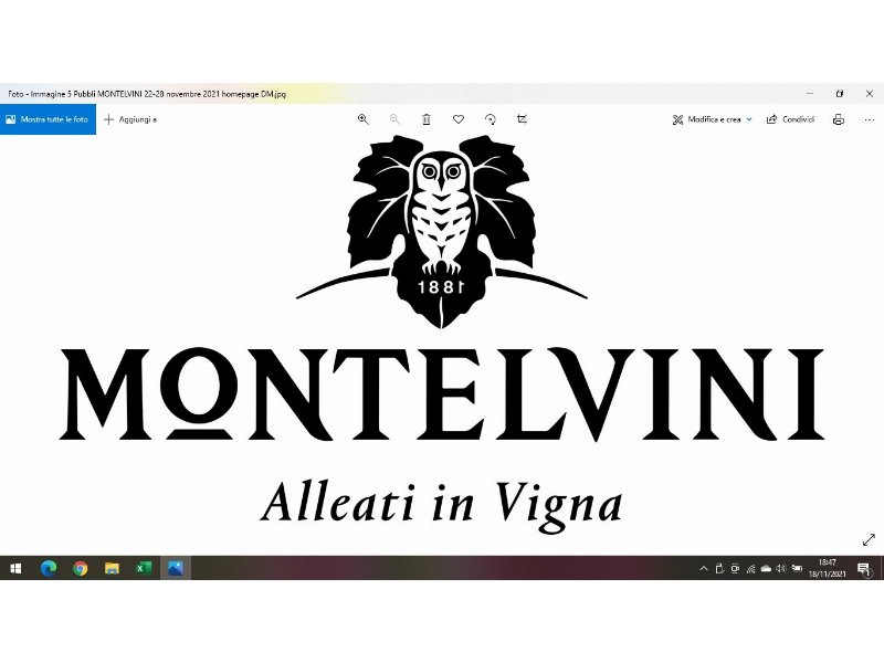 montelvini-presenta-la-nuova-linea-plumage-destinata-alla-gdo