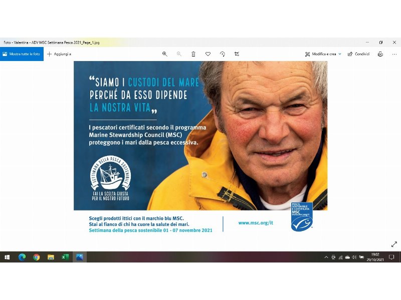 msc-il-punto-di-riferimento-della-pesca-sostenibile