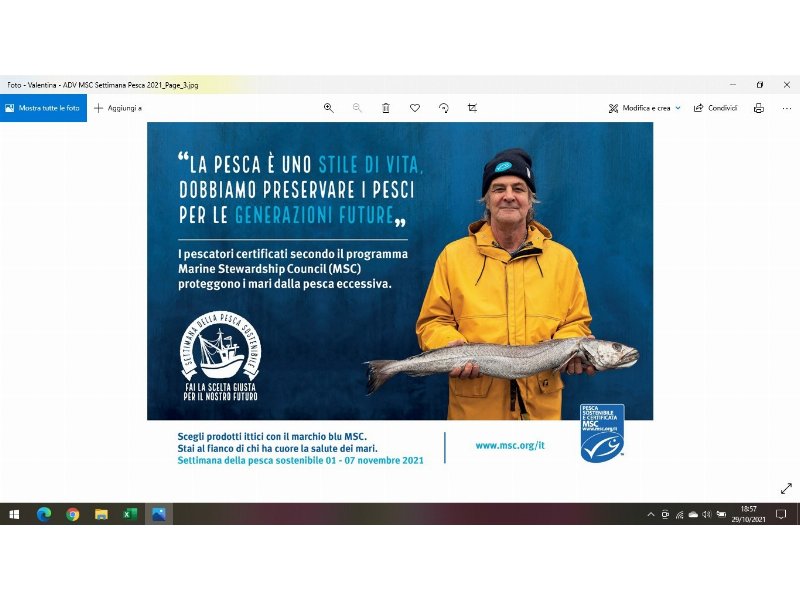 msc-il-punto-di-riferimento-della-pesca-sostenibile