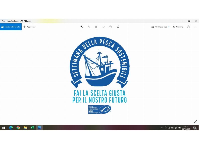 msc-il-punto-di-riferimento-della-pesca-sostenibile