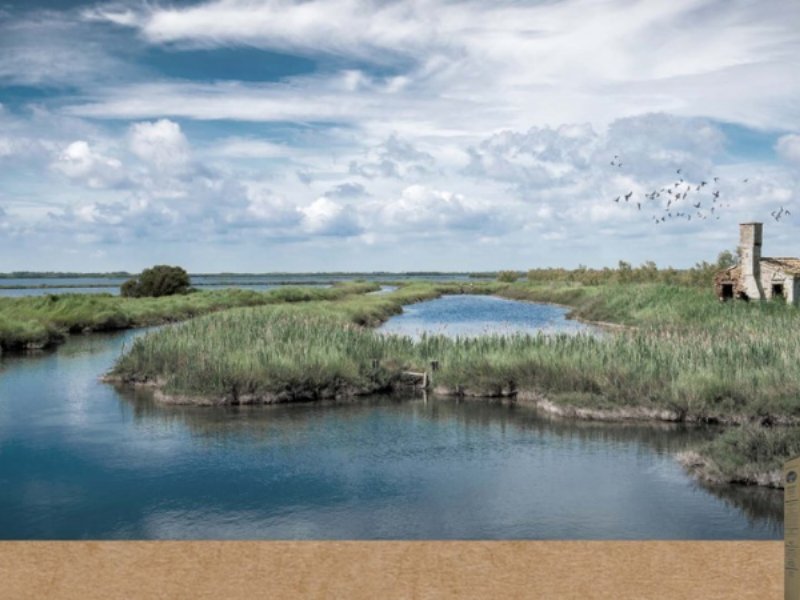 Grandi Riso: alla scoperta del riso igp del Delta del Po