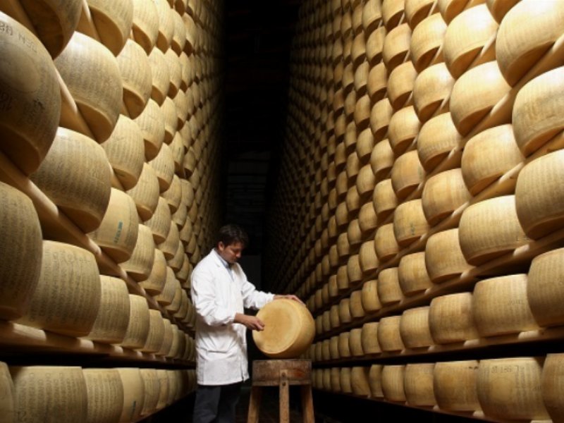 Il Consorzio Parmigiano Reggiano in prima linea per il benessere animale