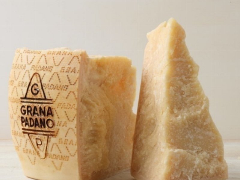 Il Consorzio Tutela Grana Padano mette l’accento sul benessere animale