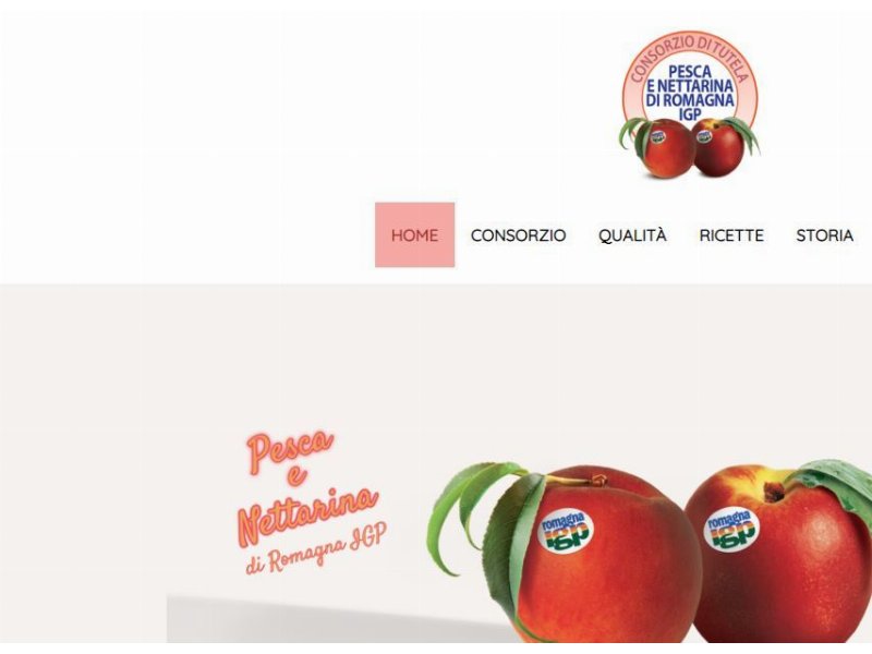 Le pesche e nettarine di Romagna igp non si arrendono