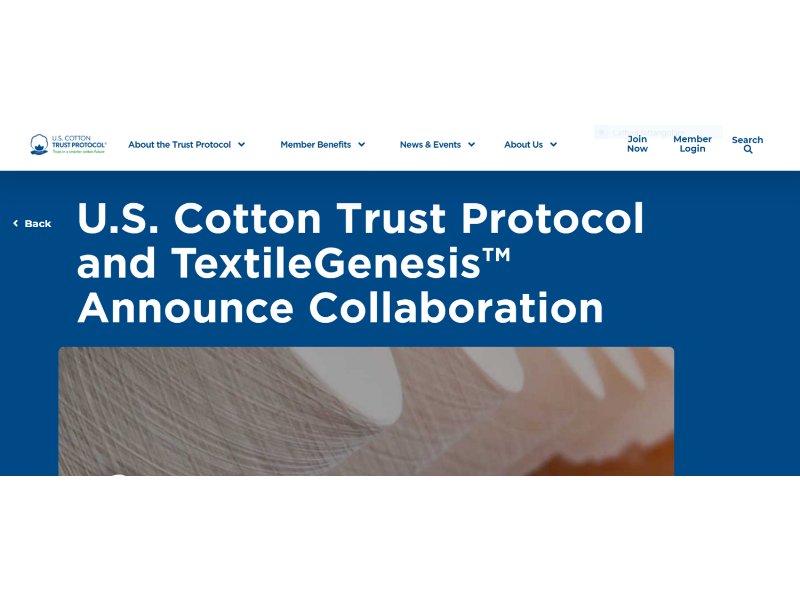 Levi Strauss & Co, Tesco E Gildan Aderiscono Allo “U.S Cotton Trust Protocol”