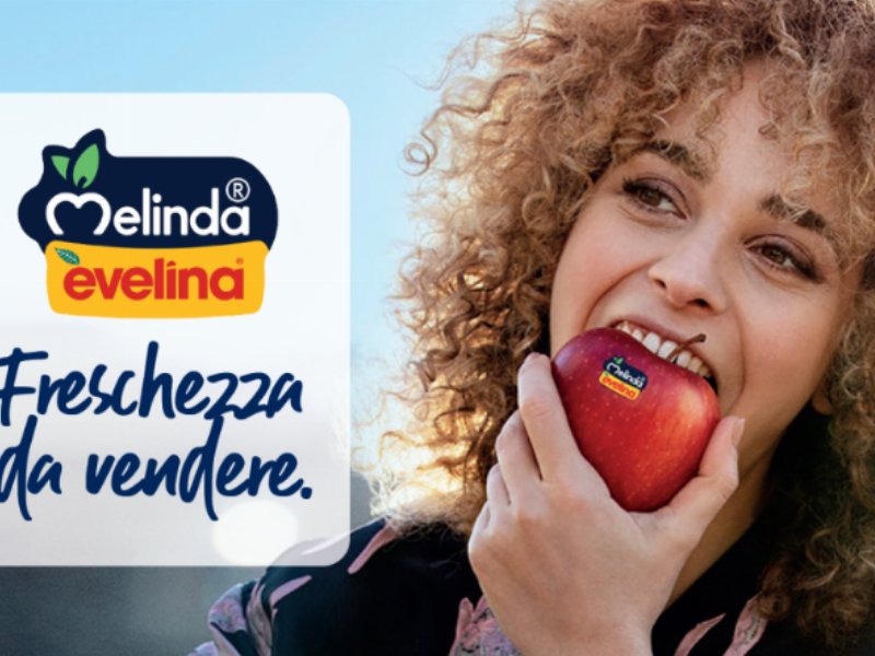 Melinda Evelina: al via la stagione