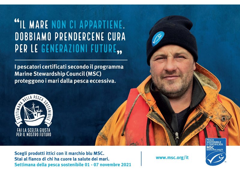 MSC, il punto di riferimento della pesca sostenibile