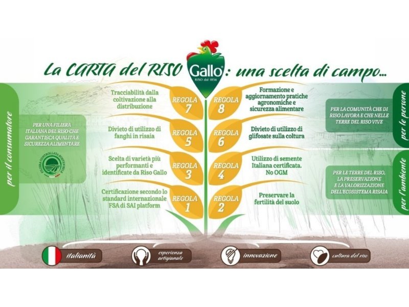 Parte il progetto “Rice Start” promosso da Riso Gallo