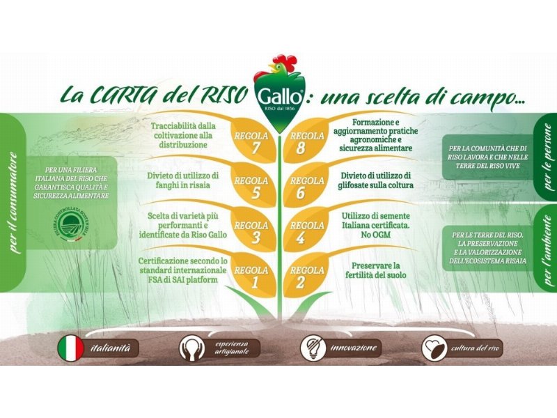 Riso Gallo, nasce “La Carta del riso”: una scelta di campo all’insegna della sostenibilità