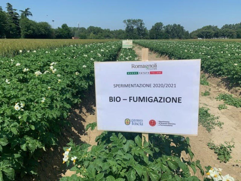 Romagnoli: proseguono le sperimentazioni in campo nel segno dell’agricoltura sostenibile