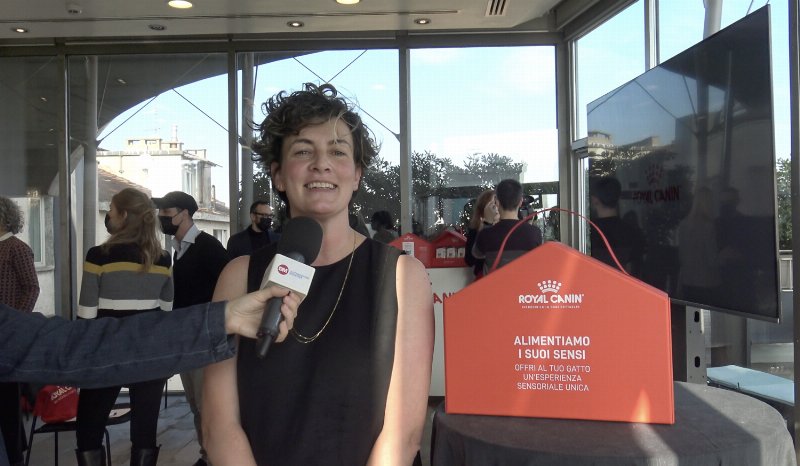 Royal Canin lancia la nuova gamma di cibo per gatti Sensory