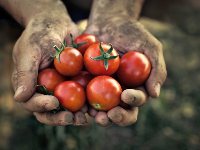 Stop alle aste a doppio ribasso e alle altre pratiche sleali