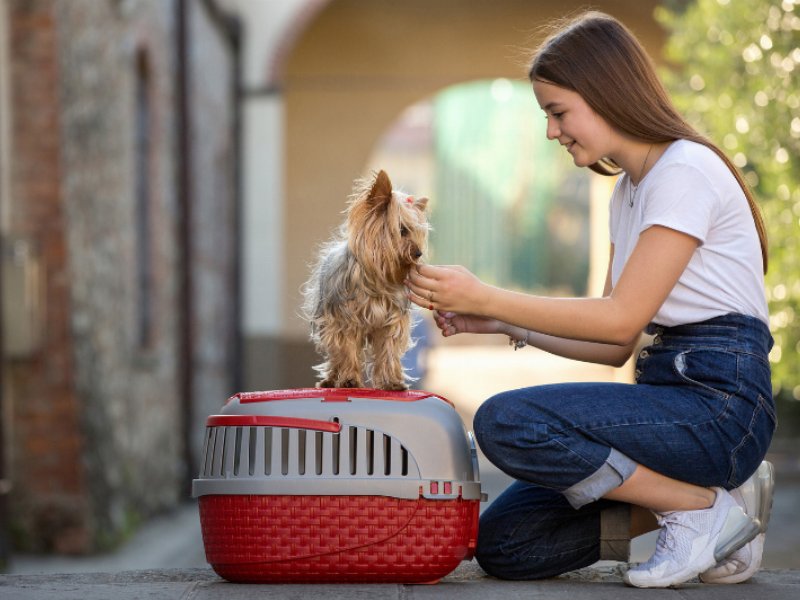 Viaggiare con gli animali domestici: trasportino Tour