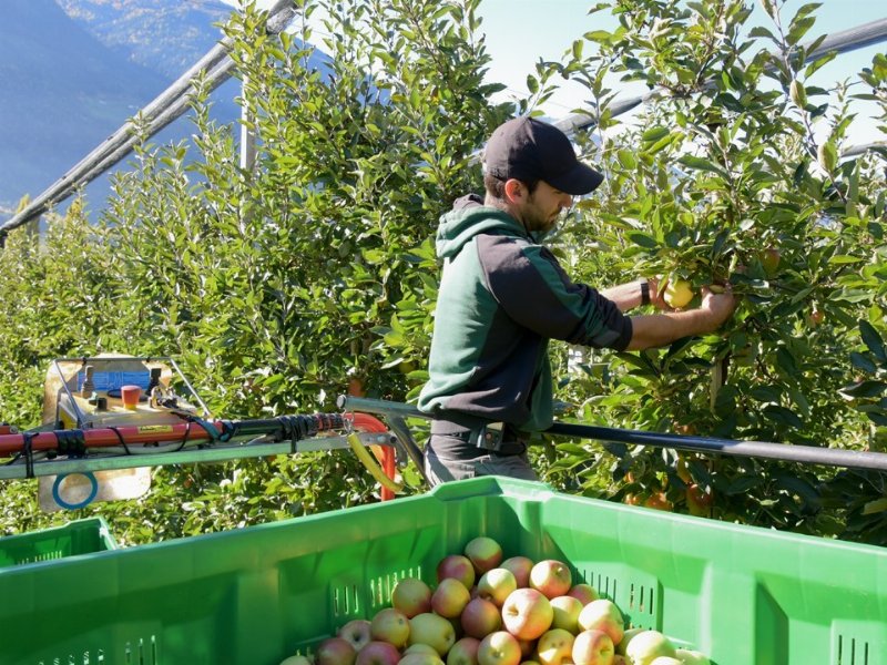 VIP: in Val Venosta servizi ai coltivatori e cura degli aspetti sociali