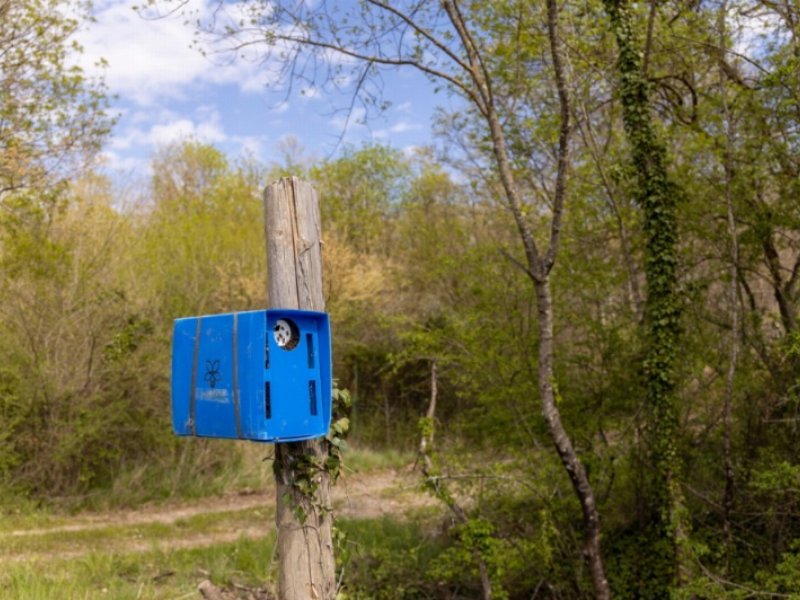 Api: un bosco in Toscana per studiare l’interazione con l’uomo