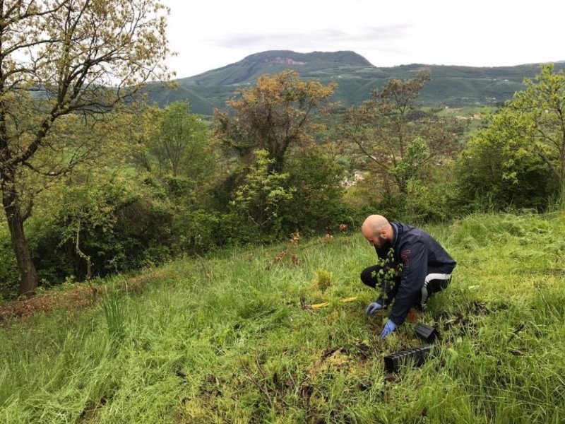 Carrefour e 3bee insieme per la creazione di oasi della biodiversità a tutela delle api