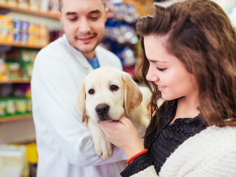 Cerere e Pdp fondano la terza catena italiana di petshop, con 79 punti vendita