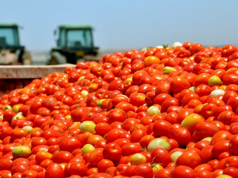 Consorzio Casalasco: notificata l'acquisizione di Emiliana conserve