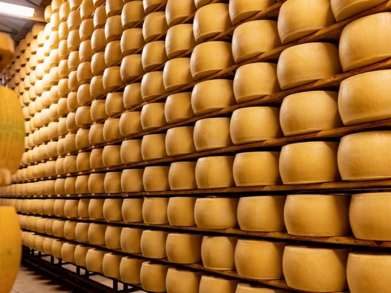 Consorzio Granterre, re del Parmigiano, ottiene 40 milioni per la propria filiera