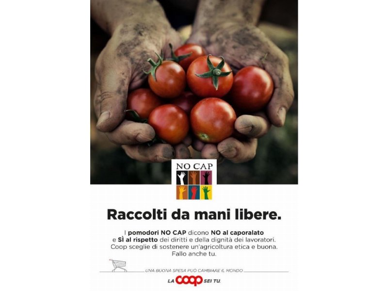 Coop e l’associazione “No Cap” insieme per la filiera etica del pomodoro