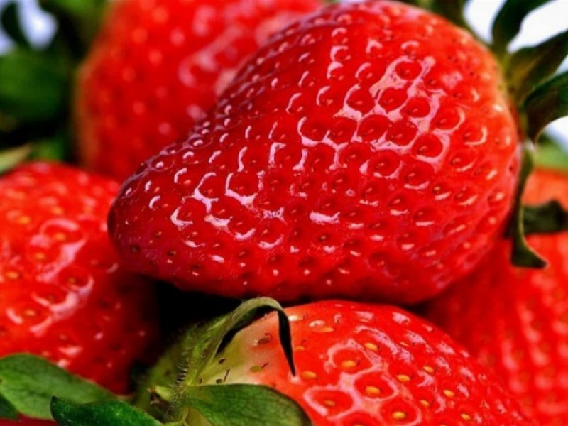 Fragole: aumentano consumi e prezzi nel 2021