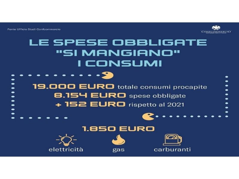 confcommercio-le-spese-obbligate-si-mangiano-i-consumi