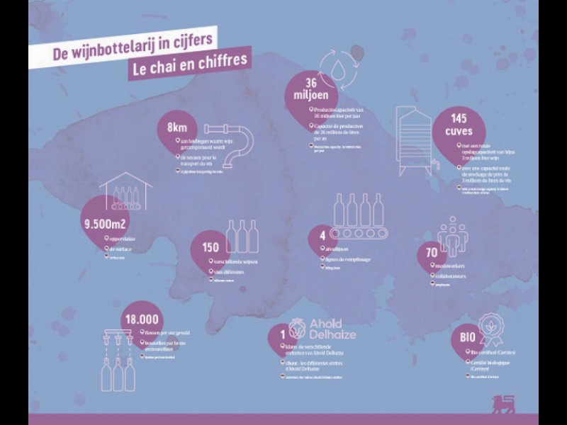 delhaize-apre-una-fabbrica-di-imbottigliamento-del-vino