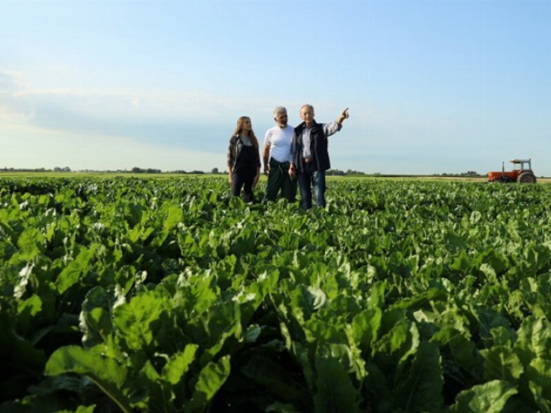 italia-zuccheri-sostenibilita-e-innovazione-al-centro