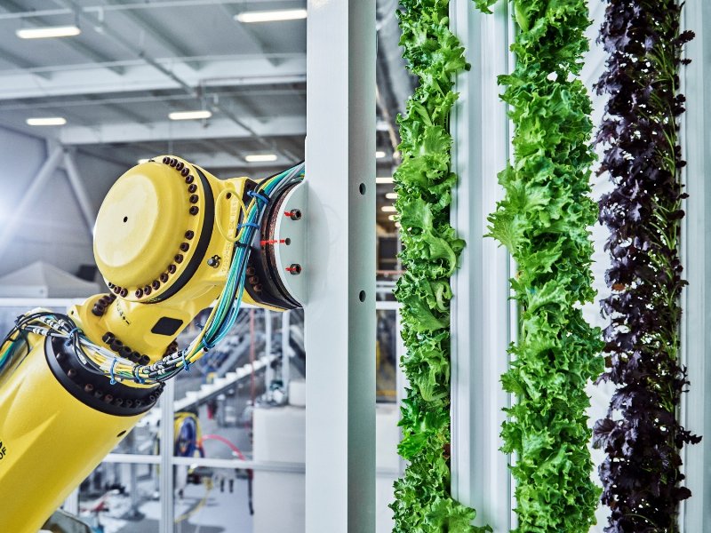 walmart-investe-400-milioni-sul-vertical-farming