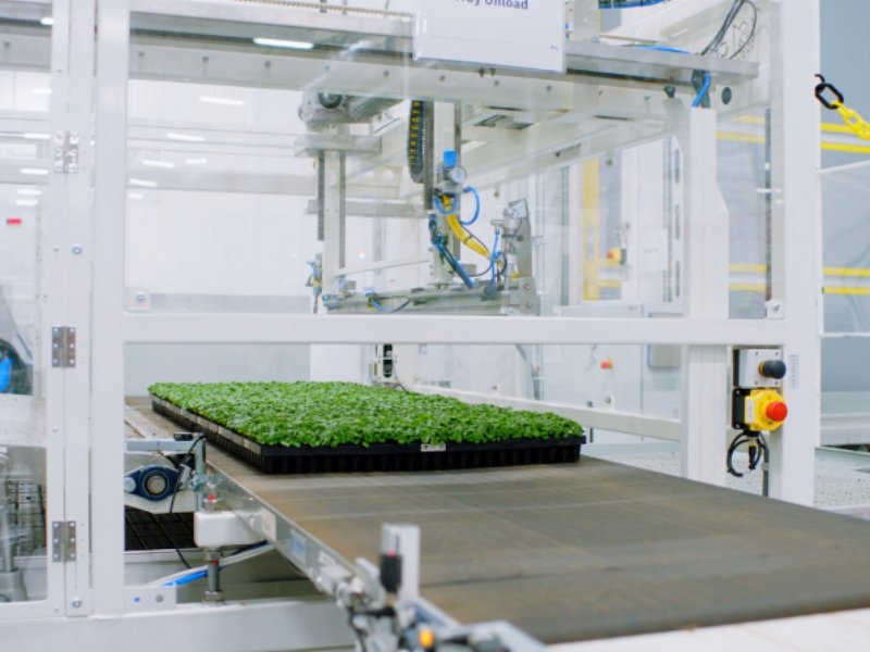 walmart-investe-400-milioni-sul-vertical-farming