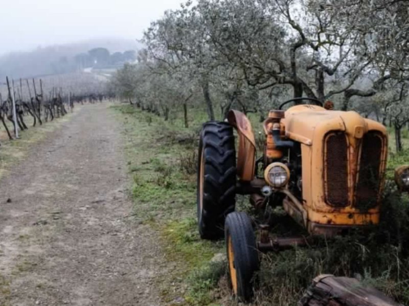 Giappone, un mercato fedele al Chianti Classico