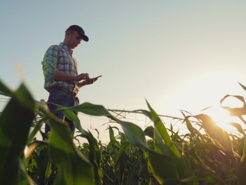 Gruppo Nestlé: via alla seconda edizione del Nestlé Startup Program