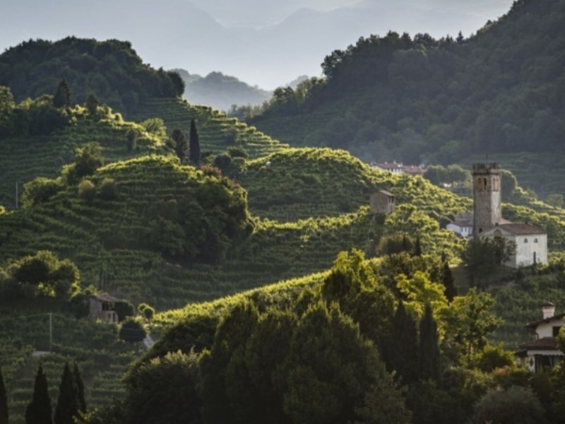 Il Consorzio di Tutela del Conegliano Valdobbiadene Prosecco guarda al futuro