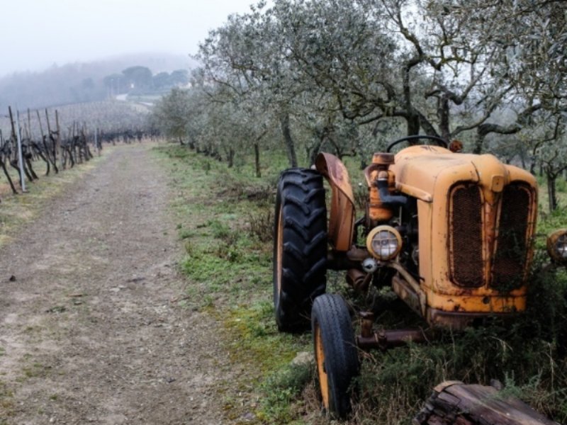 Il Consorzio Vino Chianti Classico torna a New York