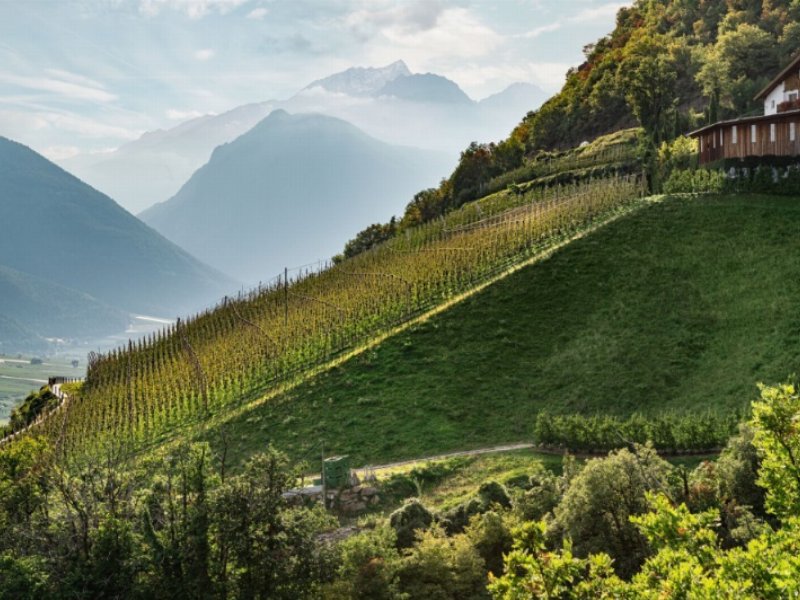 Il futuro della melicoltura della Val Venosta garantito da tanti giovani che ci credono