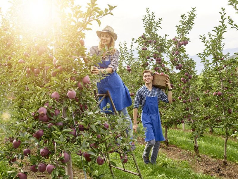 Leni’s, economia circolare e progresso al servizio dell’ambiente