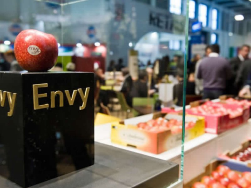 L’esperienza premium di Envy è tornata: avvio stagione promettente per Vog e Vip