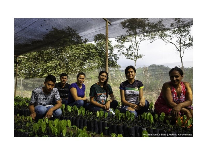 Loacker, al via il Sustainable Cocoa Farming Program