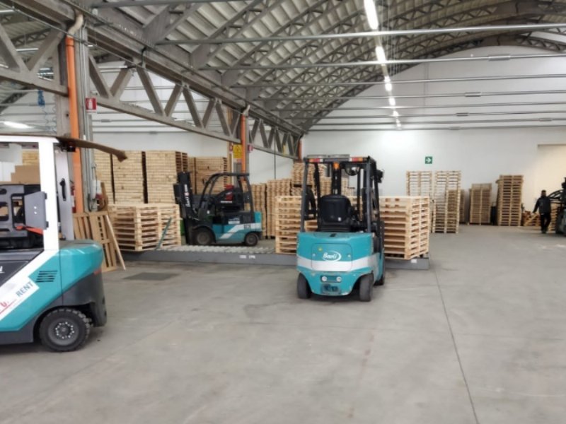 Moroni Pallets sceglie Baoli e rinnova la propria flotta puntando sull’elettrico