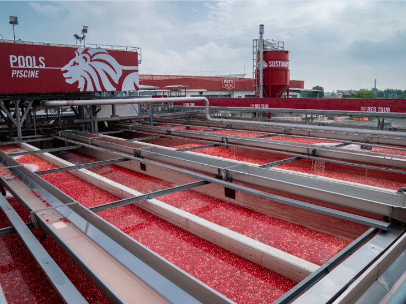 Mutti sulla campagna di lavorazione del pomodoro 2022