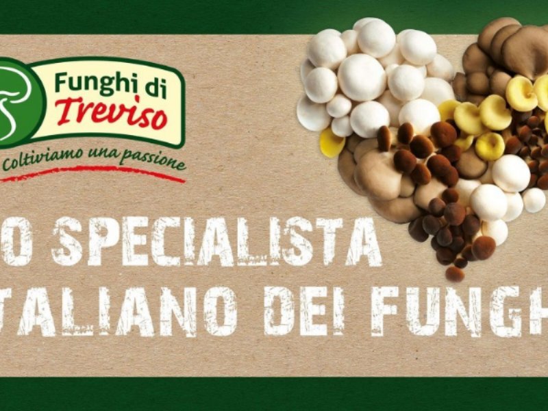 O.P. Consorzio Funghi di Treviso fra i protagonisti di Marca