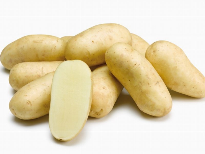 Patate: Romagnoli e Ibe-Cnr insieme per la caratterizzazione sensoriale delle varietà