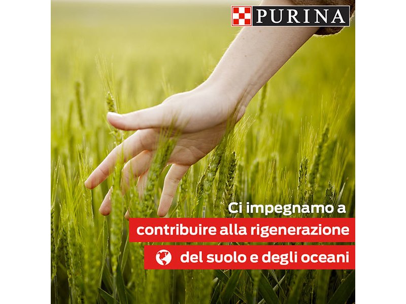 Purina si impegna a preservare l'ambiente attraverso l'agricoltura rigenerativa