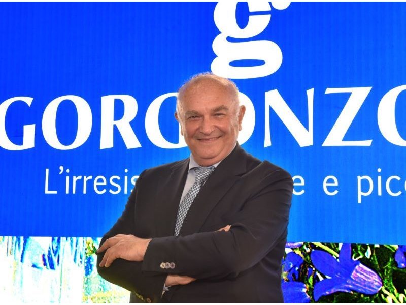 Settimana della Contraffazione 2022, Gorgonzola dop tra i più "taroccati" del made in Italy