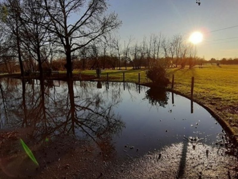 Vallelata e Legambiente: 1000 alberi piantati a novembre per il progetto “Insieme piantiamo alberi”