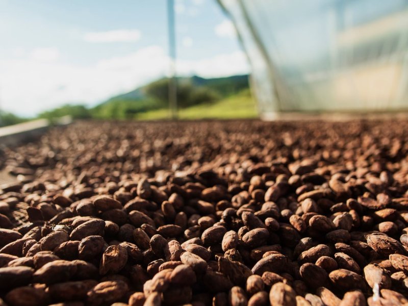 Vanini accompagna i consumatori alla scoperta “del buono del cioccolato”