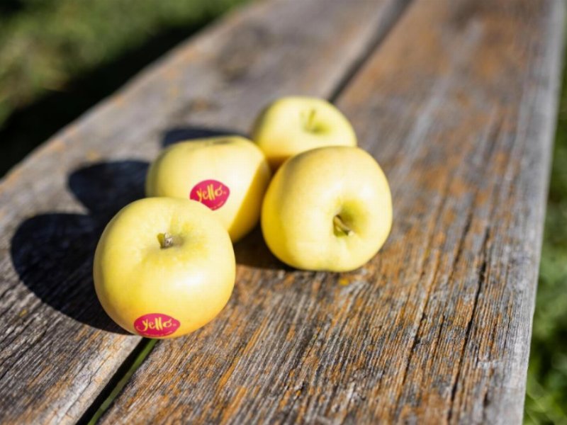 Yello: la mela fidelizza i consumatori